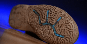 anta kyrie 2 tested in hand - traction