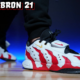 Nike LeBron 21 Prime 96